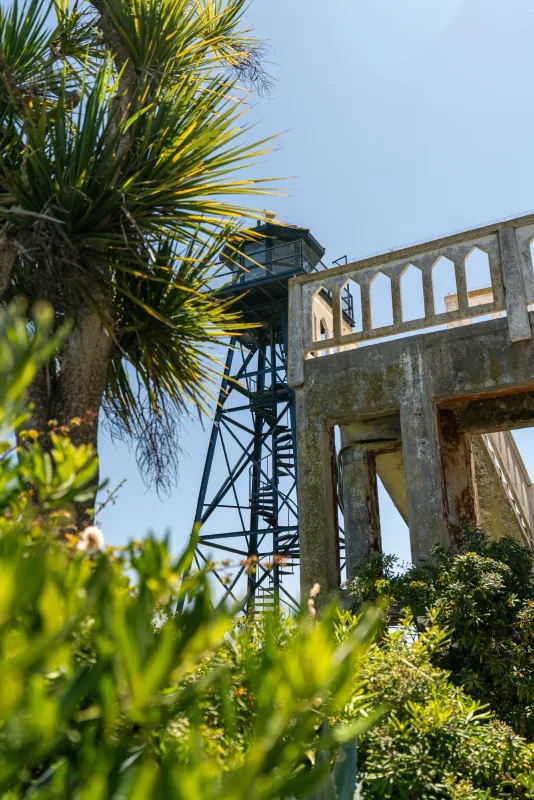 Alcatraz Island water tower and concrete guard structure framed by palm fronds and greenery