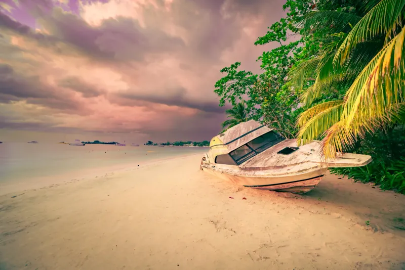 Abandoned motorboat washed up on a sandy beach beneath palm trees and a stormy pink sky