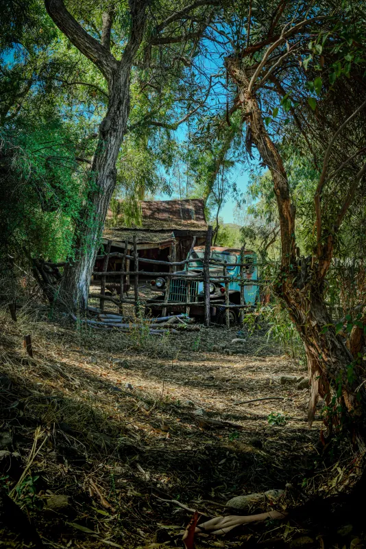Overgrown trees framing a collapsing wooden shack and old vehicle in dappled light