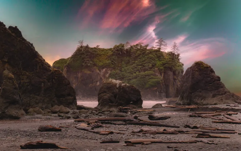 Forested sea stacks and driftwood-strewn sand at Ruby Beach on the Washington coast under a pink streaked sky